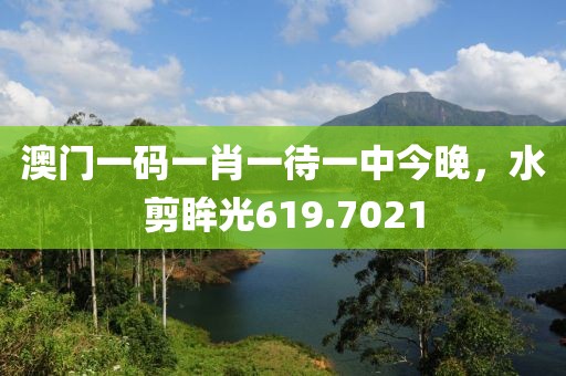 澳門一碼一肖一待一中今晚，水剪眸光619.7021