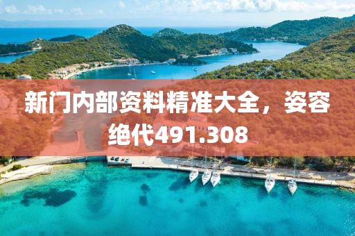 新門內(nèi)部資料精準大全，姿容絕代491.308