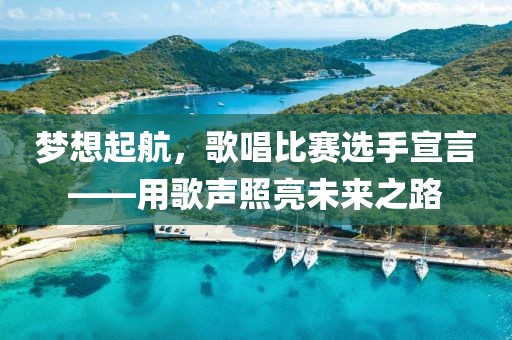 夢(mèng)想起航，歌唱比賽選手宣言——用歌聲照亮未來之路