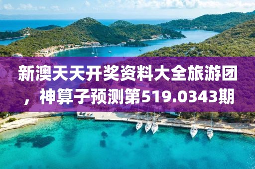 新澳天天開獎(jiǎng)資料大全旅游團(tuán)，神算子預(yù)測(cè)第519.0343期