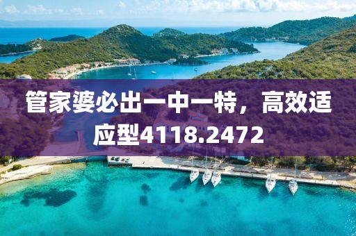 管家婆必出一中一特，高效適應(yīng)型4118.2472
