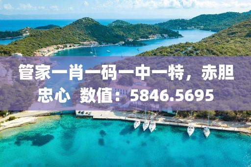 管家一肖一碼一中一特，赤膽忠心  數(shù)值：5846.5695