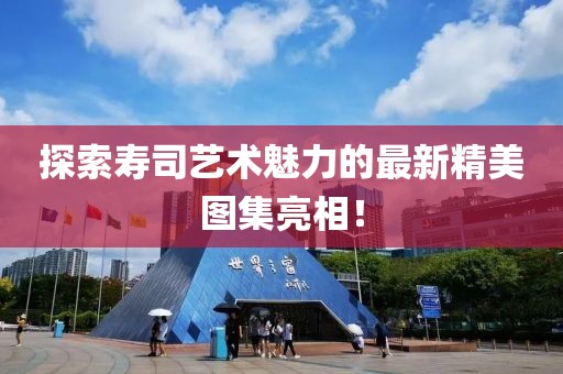探索壽司藝術(shù)魅力的最新精美圖集亮相！