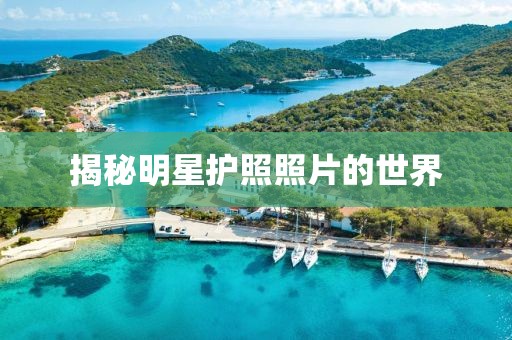 揭秘明星護(hù)照照片的世界