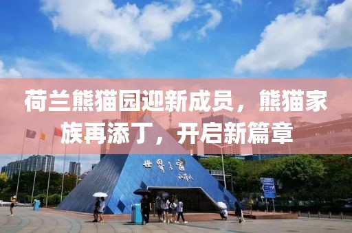 荷蘭熊貓園迎新成員，熊貓家族再添丁，開啟新篇章