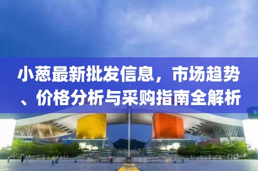 小蔥最新批發(fā)信息，市場趨勢、價格分析與采購指南全解析