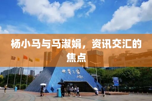 楊小馬與馬淑娟，資訊交匯的焦點(diǎn)