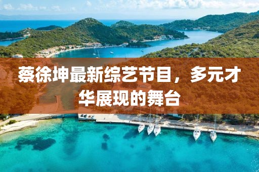 蔡徐坤最新綜藝節(jié)目，多元才華展現(xiàn)的舞臺