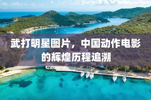 武打明星圖片，中國動作電影的輝煌歷程追溯