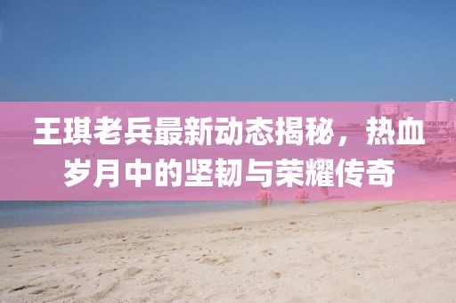 王琪老兵最新動態(tài)揭秘，熱血歲月中的堅韌與榮耀傳奇