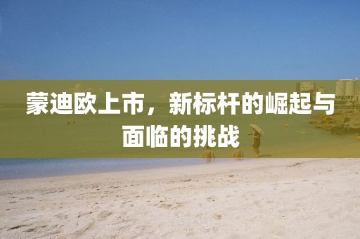 蒙迪歐上市，新標桿的崛起與面臨的挑戰(zhàn)