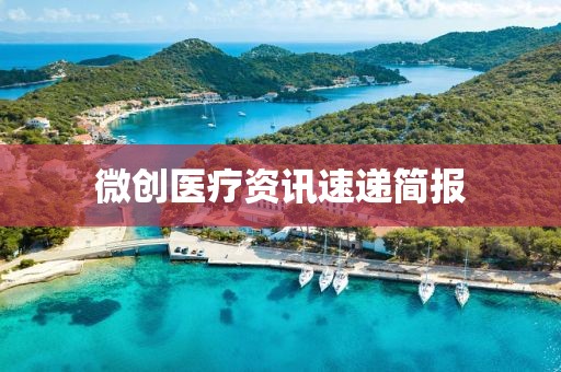 微創(chuàng)醫(yī)療資訊速遞簡(jiǎn)報(bào)