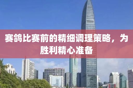 賽鴿比賽前的精細調(diào)理策略，為勝利精心準備