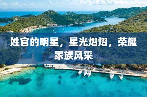 姓官的明星，星光熠熠，榮耀家族風采