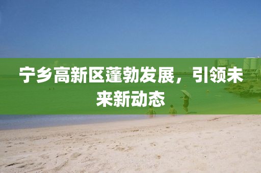 寧鄉(xiāng)高新區(qū)蓬勃發(fā)展，引領(lǐng)未來新動(dòng)態(tài)