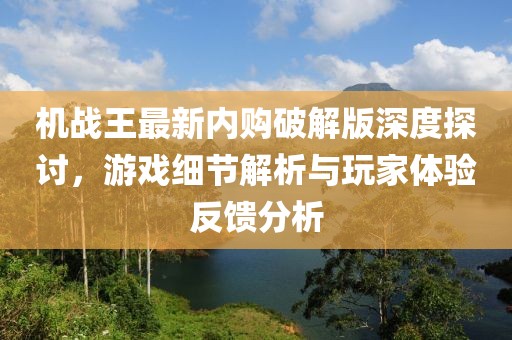 機(jī)戰(zhàn)王最新內(nèi)購(gòu)破解版深度探討，游戲細(xì)節(jié)解析與玩家體驗(yàn)反饋分析