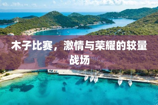 木子比賽，激情與榮耀的較量戰(zhàn)場(chǎng)