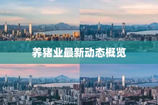 養(yǎng)豬業(yè)最新動態(tài)概覽