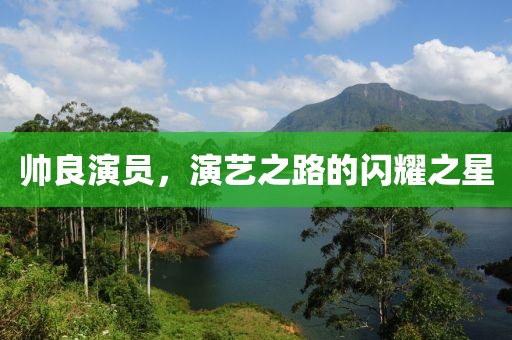 帥良演員，演藝之路的閃耀之星