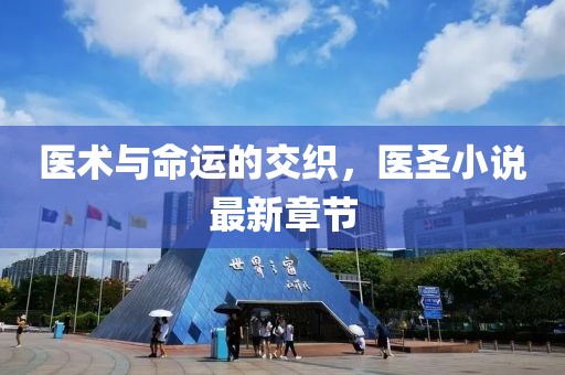 醫(yī)術與命運的交織，醫(yī)圣小說最新章節(jié)