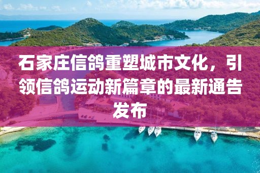 石家莊信鴿重塑城市文化，引領(lǐng)信鴿運(yùn)動(dòng)新篇章的最新通告發(fā)布