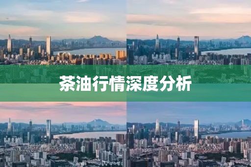 茶油行情深度分析