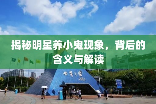 揭秘明星養(yǎng)小鬼現(xiàn)象，背后的含義與解讀