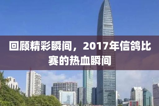 回顧精彩瞬間，2017年信鴿比賽的熱血瞬間
