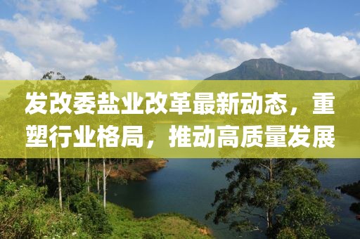 發(fā)改委鹽業(yè)改革最新動態(tài)，重塑行業(yè)格局，推動高質(zhì)量發(fā)展