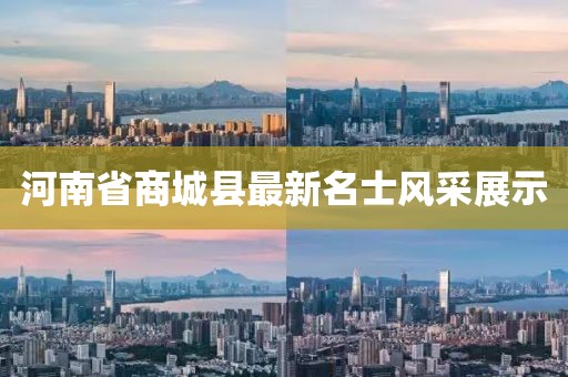 河南省商城縣最新名士風(fēng)采展示