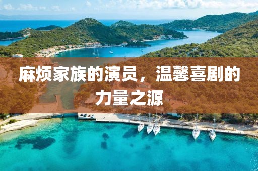 麻煩家族的演員，溫馨喜劇的力量之源