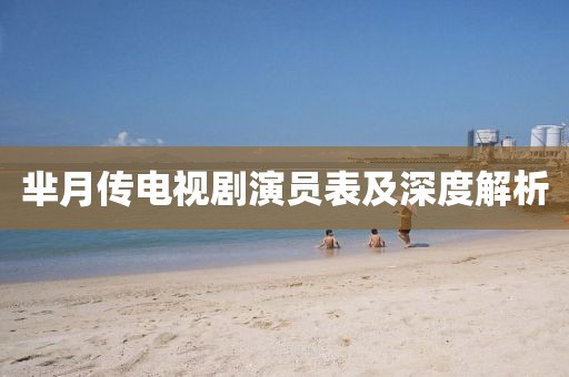羋月傳電視劇演員表及深度解析