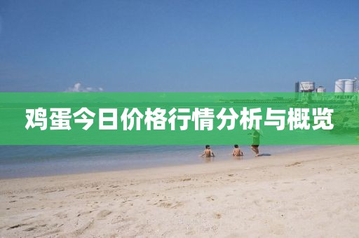 雞蛋今日價(jià)格行情分析與概覽
