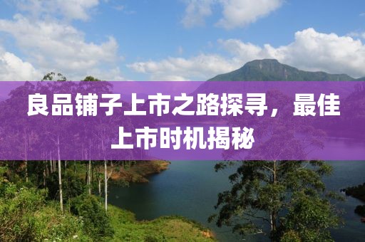 良品鋪子上市之路探尋，最佳上市時機揭秘