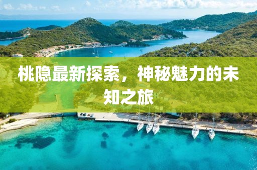 桃隱最新探索，神秘魅力的未知之旅