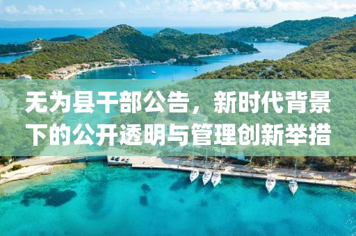 無(wú)為縣干部公告，新時(shí)代背景下的公開(kāi)透明與管理創(chuàng)新舉措