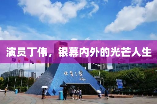 演員丁偉，銀幕內(nèi)外的光芒人生