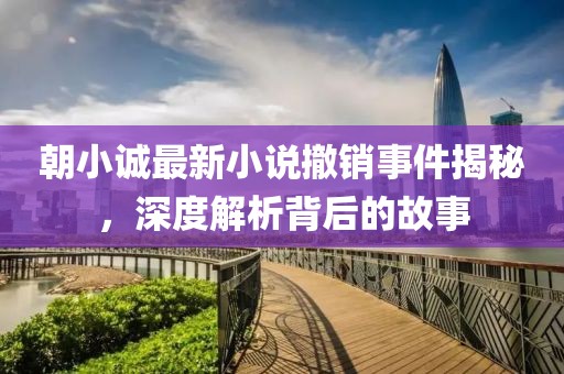 朝小誠最新小說撤銷事件揭秘，深度解析背后的故事