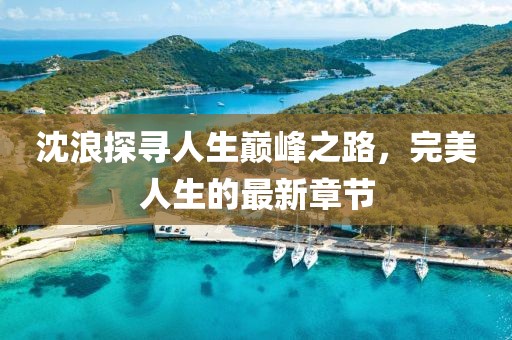 沈浪探尋人生巔峰之路，完美人生的最新章節(jié)