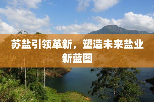蘇鹽引領(lǐng)革新，塑造未來鹽業(yè)新藍圖