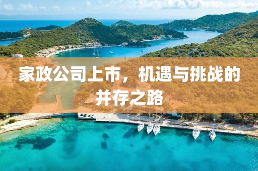 家政公司上市，機(jī)遇與挑戰(zhàn)的并存之路