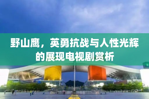 野山鷹，英勇抗戰(zhàn)與人性光輝的展現(xiàn)電視劇賞析