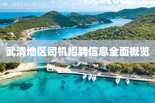 武清地區(qū)司機招聘信息全面概覽