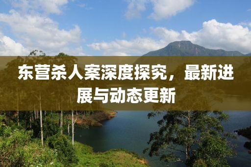 東營殺人案深度探究，最新進展與動態(tài)更新