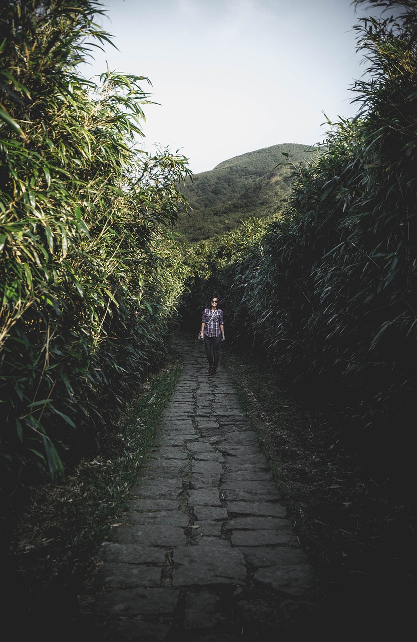 探索大自然神秘寶藏，自然藏奇珍之旅