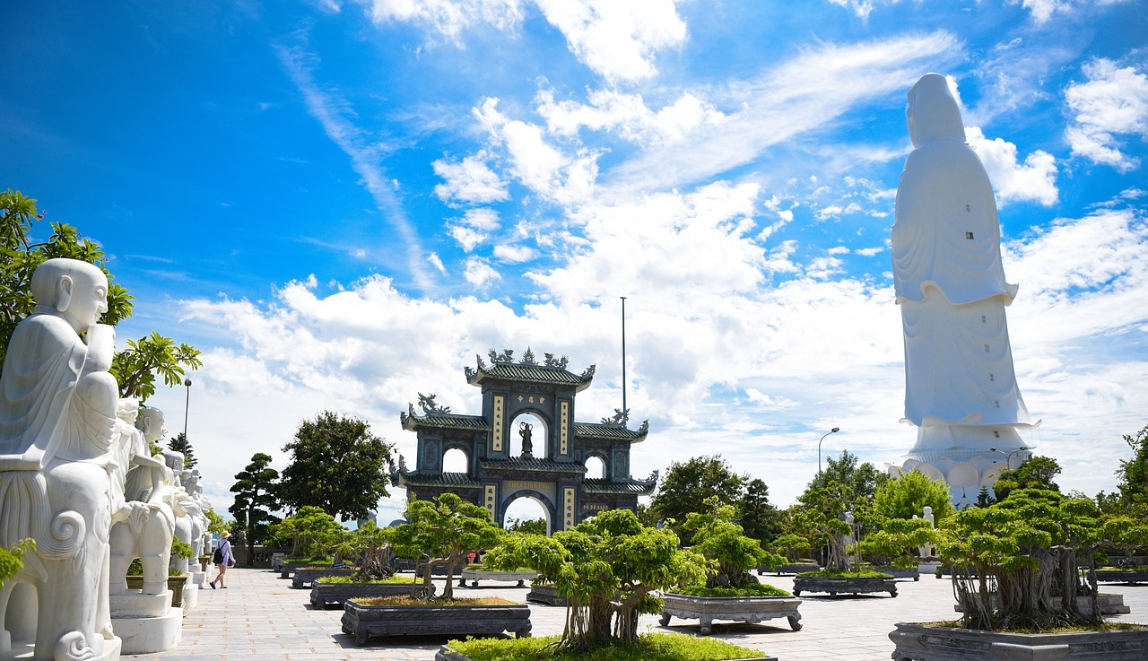 越南木薯淀粉市場動態(tài)深度剖析