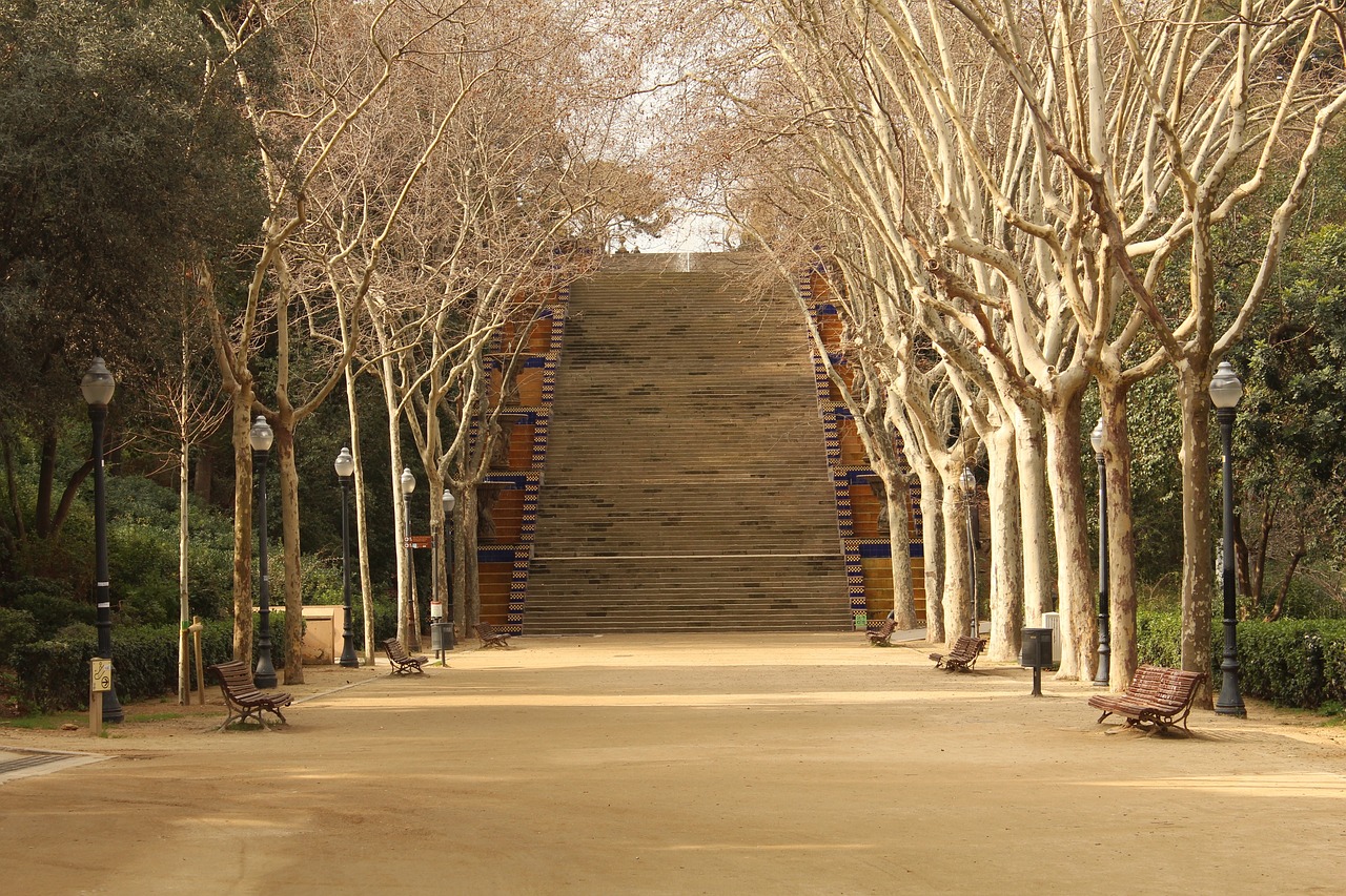 蒙內(nèi)鐵路最新運(yùn)營(yíng)動(dòng)態(tài)，推動(dòng)非洲大陸交通革新進(jìn)程