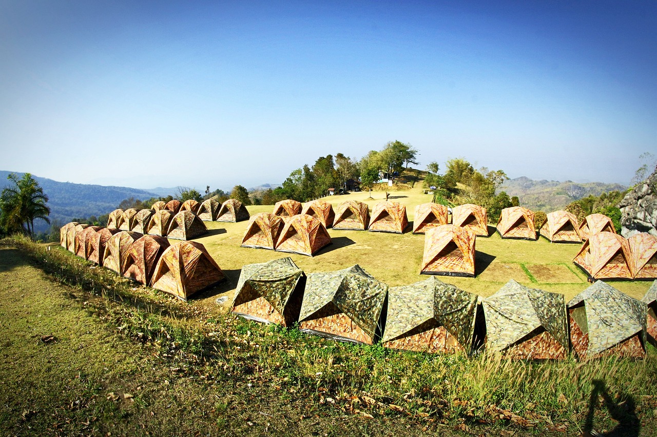 最新土地政策解讀，重塑土地資源利用與農村發(fā)展藍圖，展望未來發(fā)展新篇章