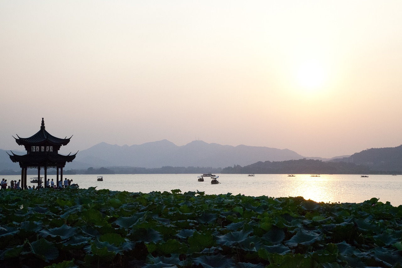首創(chuàng)森林湖最新動(dòng)態(tài)資訊，引領(lǐng)綠色生態(tài)發(fā)展的先鋒力量