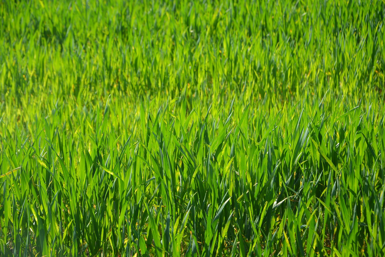 小棉襖 第15頁(yè)